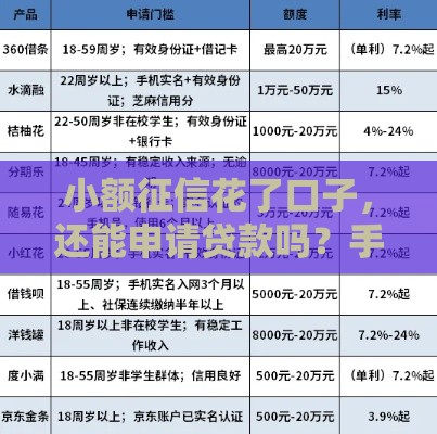 小额征信花了口子，还能申请贷款吗？手把手教你补救攻略