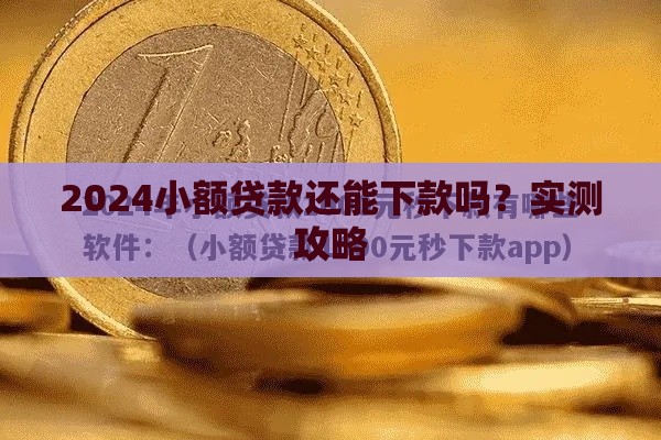 2024小额贷款还能下款吗？实测攻略