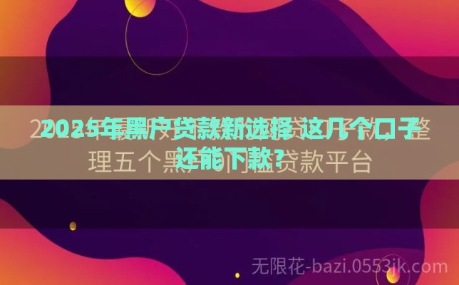2025年黑户贷款新选择 这几个口子还能下款？