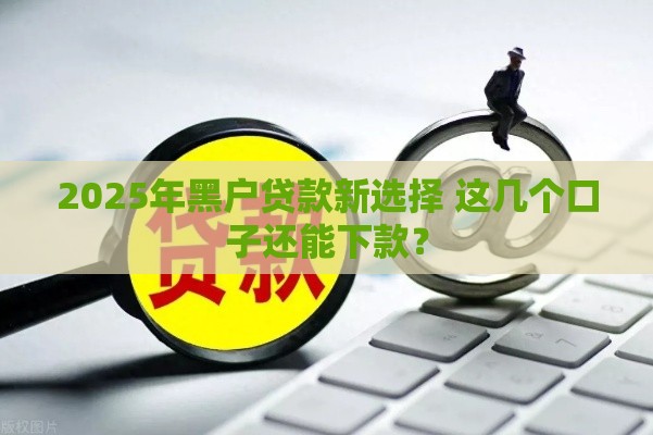 2025年黑户贷款新选择 这几个口子还能下款？