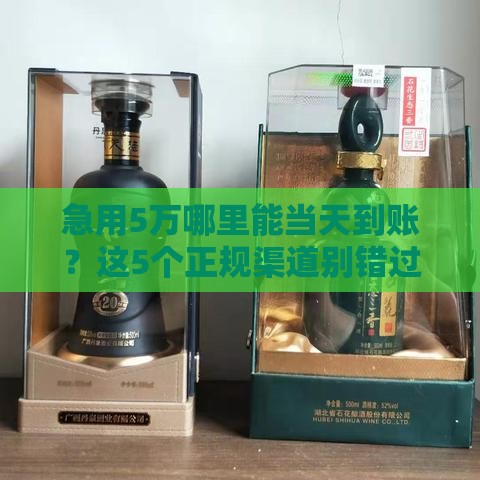 急用5万哪里能当天到账？这5个正规渠道别错过！