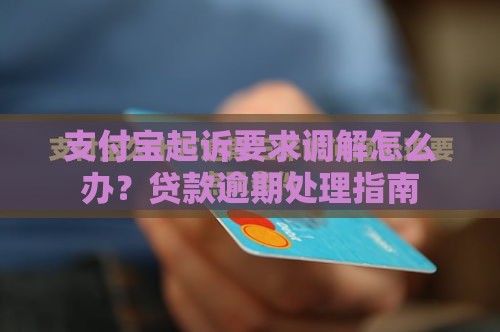 支付宝起诉要求调解怎么办？贷款逾期处理指南