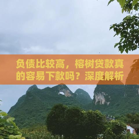 负债比较高，榕树贷款真的容易下款吗？深度解析避坑指南