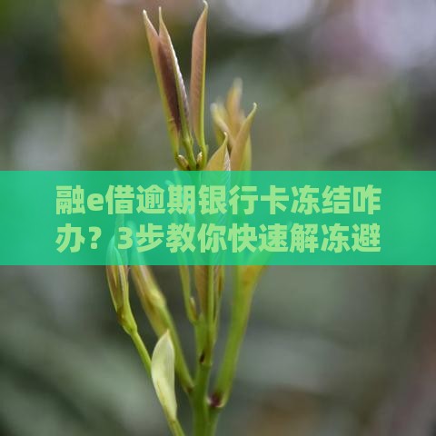 融e借逾期银行卡冻结咋办？3步教你快速解冻避坑！