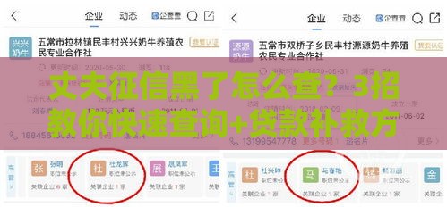 丈夫征信黑了怎么查？3招教你快速查询+贷款补救方法