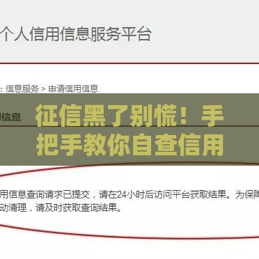 征信黑了别慌！手把手教你自查信用报告