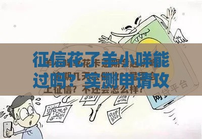 征信花了羊小咩能过吗？实测申请攻略必看