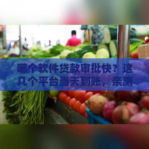 哪个软件贷款审批快？这几个平台当天到账，亲测靠谱！