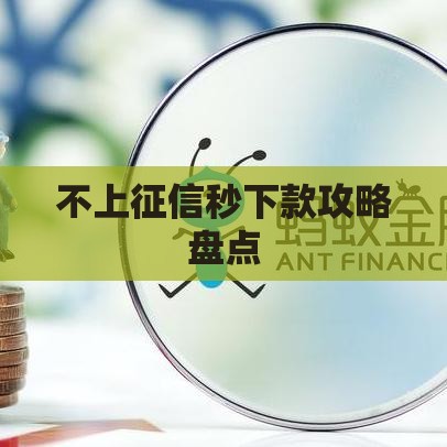 不上征信秒下款攻略盘点