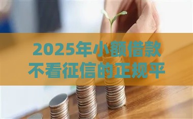 2025年小额借款不看征信的正规平台推荐，快速到账无压力！