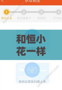 和恒小花一样容易下款的5个平台，最快当天到账