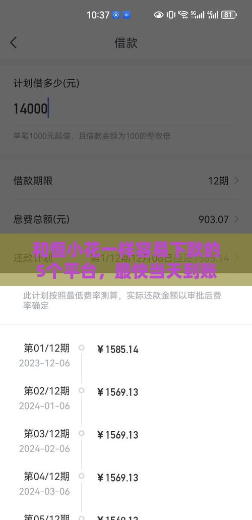 和恒小花一样容易下款的5个平台，最快当天到账