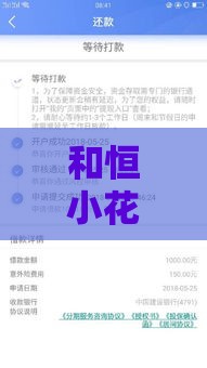 和恒小花一样容易下款的5个平台，最快当天到账