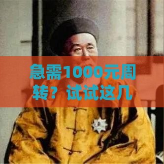 急需1000元周转？试试这几个秒过借款平台，快速到账超省心！