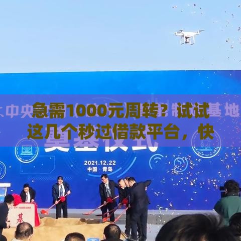 急需1000元周转？试试这几个秒过借款平台，快速到账超省心！