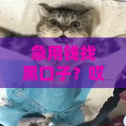 急用钱找黑口子？哎，这些风险你可得想清楚！