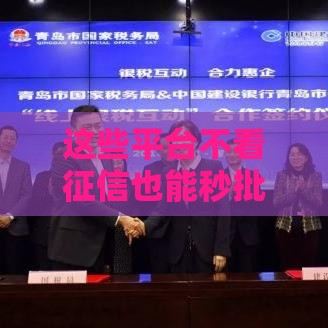 这些平台不看征信也能秒批下款