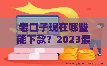 老口子现在哪些能下款？2023最新靠谱平台盘点，这几个通过率高！