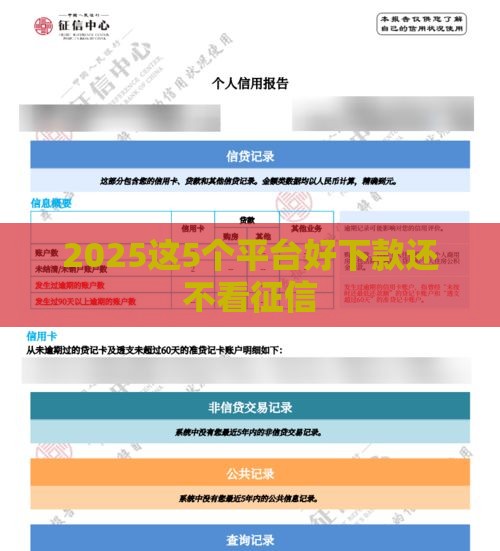 2025这5个平台好下款还不看征信
