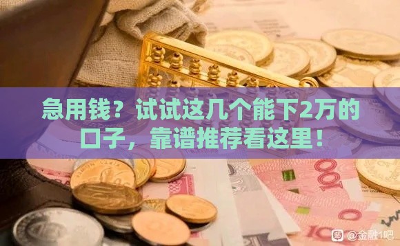 急用钱？试试这几个能下2万的口子，靠谱推荐看这里！