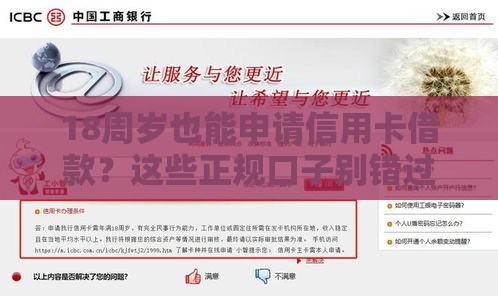 18周岁也能申请信用卡借款？这些正规口子别错过！