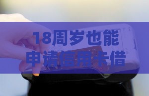 18周岁也能申请信用卡借款？这些正规口子别错过！