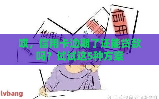 哎，信用卡逾期了还能贷款吗？试试这5种方案
