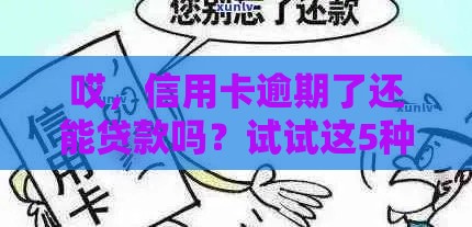 哎，信用卡逾期了还能贷款吗？试试这5种方案