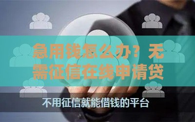 急用钱怎么办？无需征信在线申请贷款平台实测分享