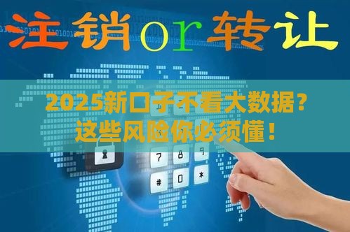 2025新口子不看大数据？这些风险你必须懂！