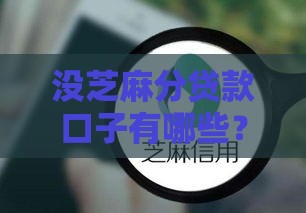 没芝麻分贷款口子有哪些？试试这5个靠谱渠道！
