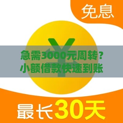 急需3000元周转？小额借款快速到账攻略！