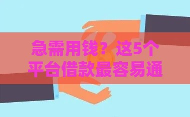 急需用钱？这5个平台借款最容易通过！