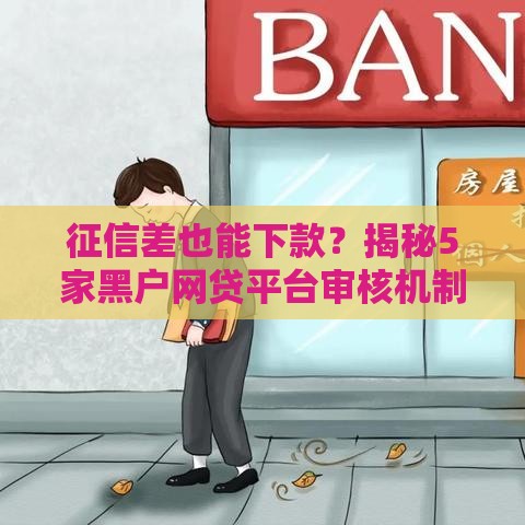 征信差也能下款？揭秘5家黑户网贷平台审核机制