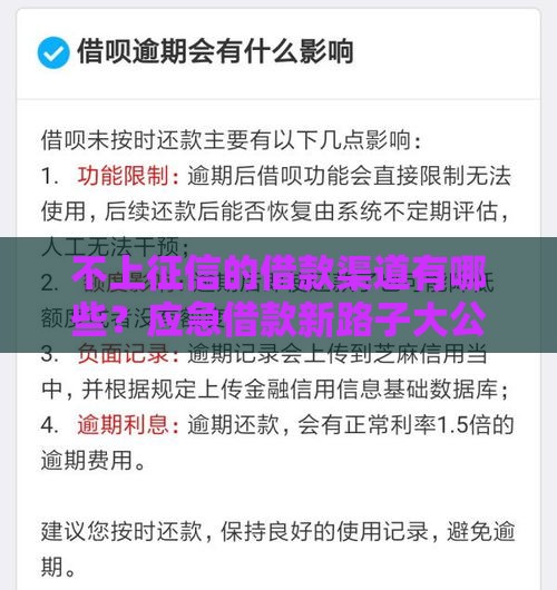 不上征信的借款渠道有哪些？应急借款新路子大公开！