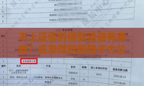 不上征信的借款渠道有哪些？应急借款新路子大公开！