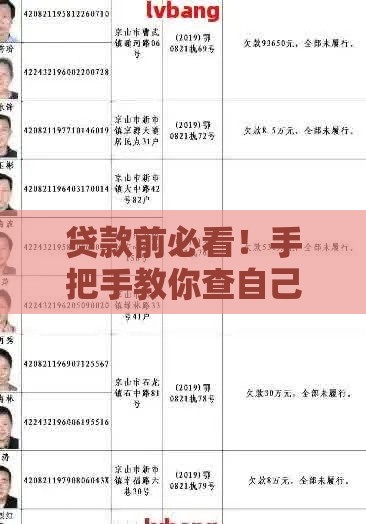贷款前必看！手把手教你查自己是否进失信名单