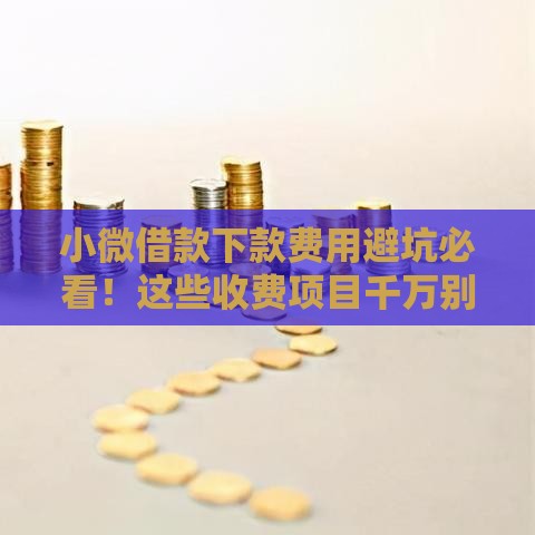小微借款下款费用避坑必看！这些收费项目千万别踩雷
