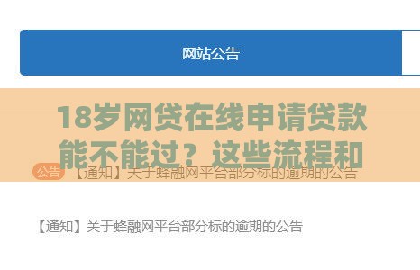 18岁网贷在线申请贷款能不能过？这些流程和注意事项要提前知道！