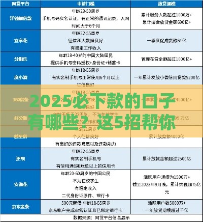 2025必下款的口子有哪些？这5招帮你轻松搞定资金！