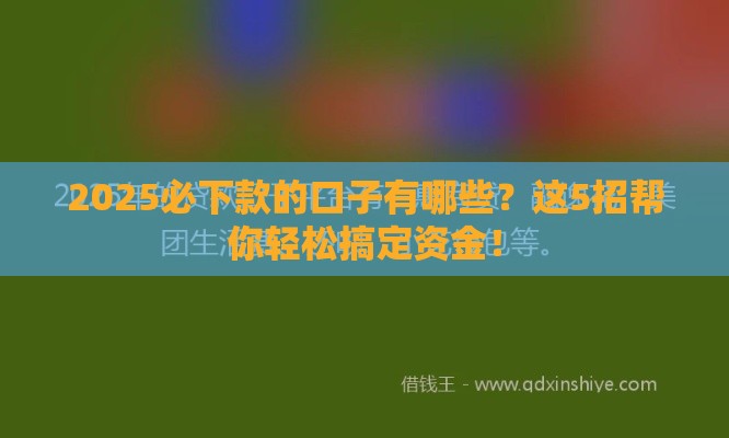 2025必下款的口子有哪些？这5招帮你轻松搞定资金！