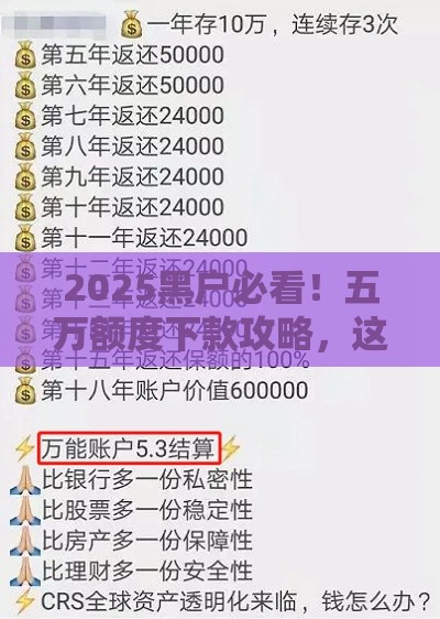 2025黑户必看！五万额度下款攻略，这些渠道别错过