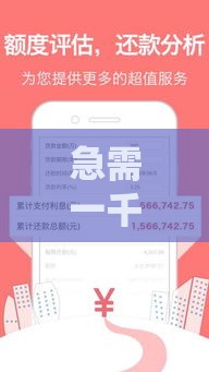 急需一千块？这五个靠谱贷款口子帮你应急不踩坑！