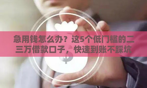 急用钱怎么办？这5个低门槛的二三万借款口子，快速到账不踩坑！