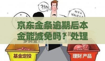 京东金条逾期后本金能减免吗？处理办法全解析