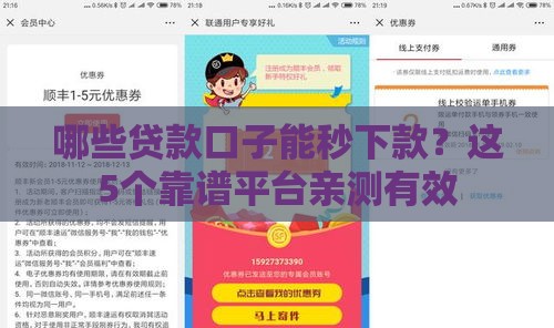 哪些贷款口子能秒下款？这5个靠谱平台亲测有效