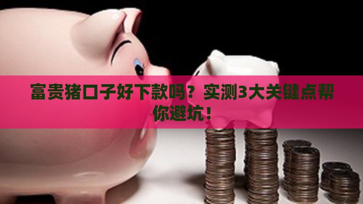 富贵猪口子好下款吗？实测3大关键点帮你避坑！