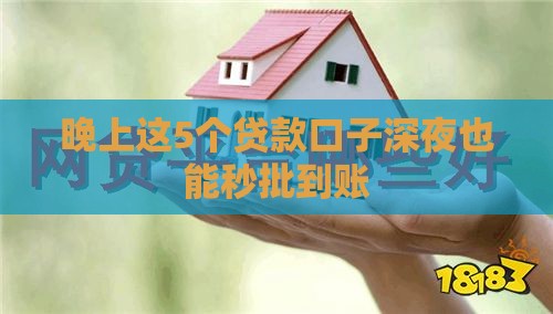 晚上这5个贷款口子深夜也能秒批到账