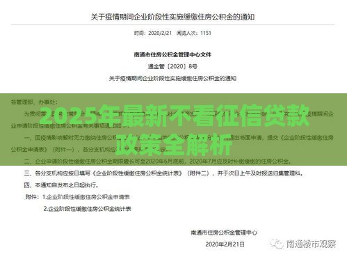 2025年最新不看征信贷款政策全解析