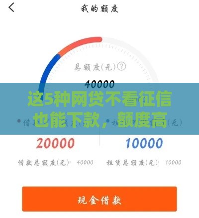这5种网贷不看征信也能下款，额度高到你想不到？
